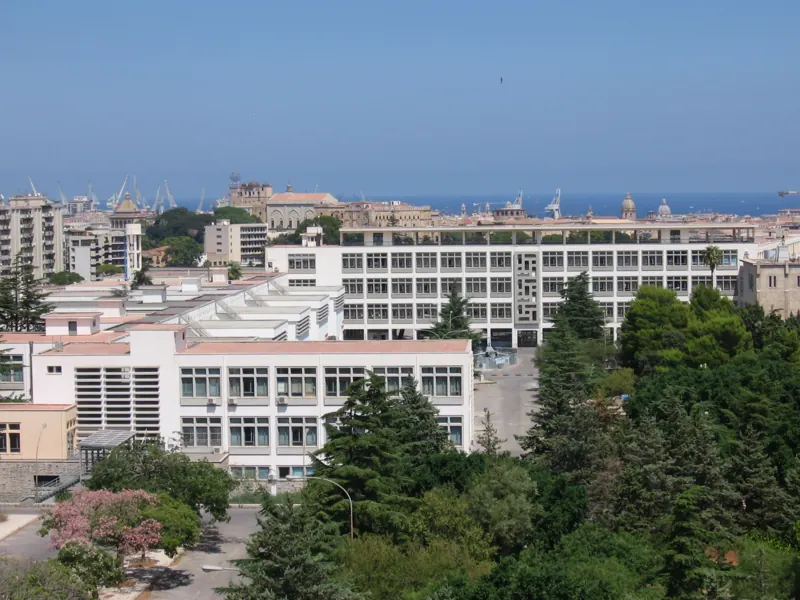 Il campus e il mare — Ingegneria, Viale delle Scienze