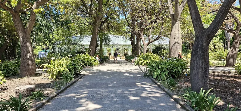 Orto Botanico — Museo vivente dell’ateneo, dalla fine del Settecento